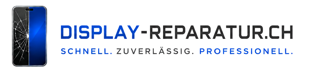 Display Reparatur