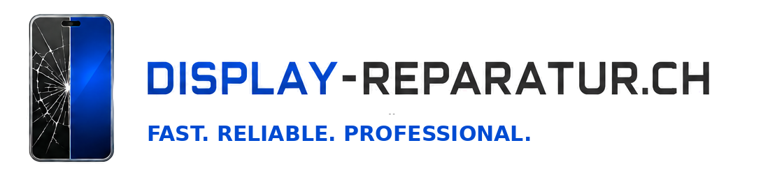Display Reparatur