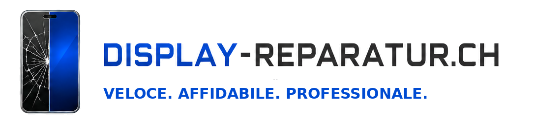 Display Reparatur